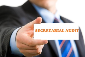 Secretarial Audit
